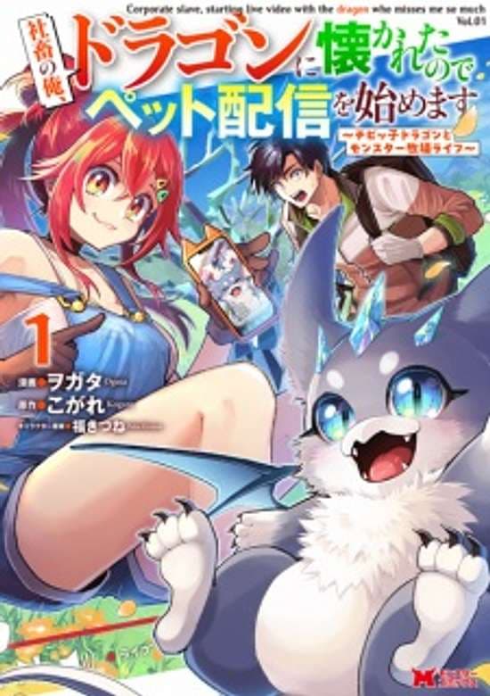 Cover artwork for Monster Streaming Star
